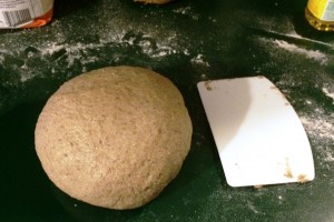 Kneaded Whole Wheat bread dough