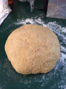 Dough after kneading ready for bulk rise.